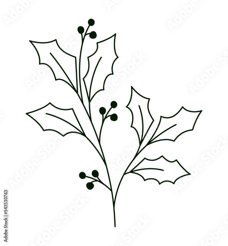 mistletoe plant design