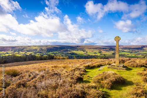 Heather and moorland cross in Yorkshire national park, England