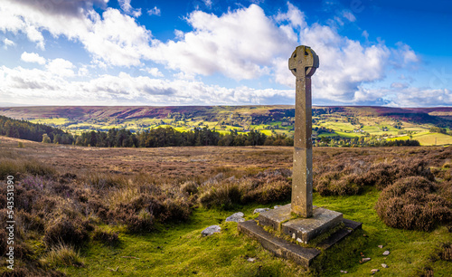 Obraz na plátně Heather and moorland cross in Yorkshire national park, England