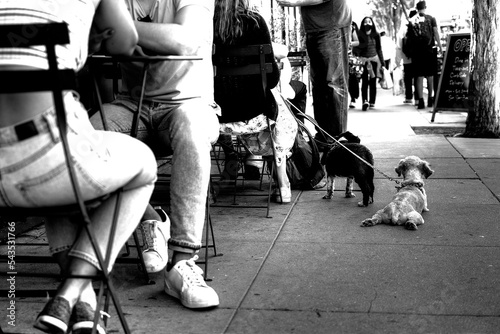 Lunch time with dog.
Time to enjoy food and time for a break
Street life