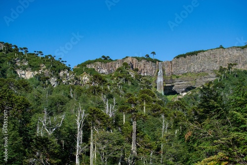 Low-angle vertical of waterfall near Lonquimay, La Araucania region, Chile, clear sky background photo
