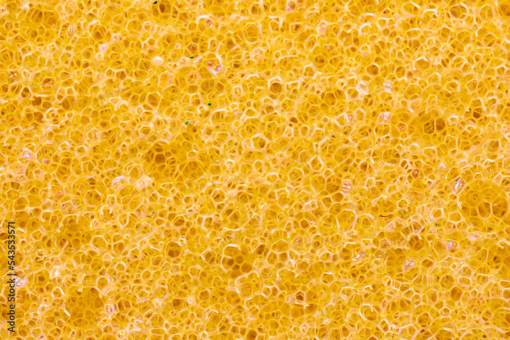 Yellow sponge detail texture, sponge texture background