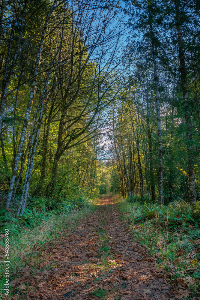 Darlin Creek Preserve Washington State
