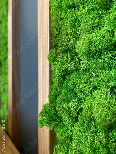 green artificial moss on the wooden wall