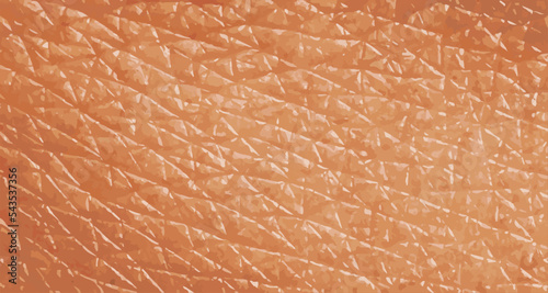 Vector human skin texture. Realistic skin pores background. 3d body dermal layer pattern. Dermatology beauty illustration. Cosmetology banner. Woman body macro view