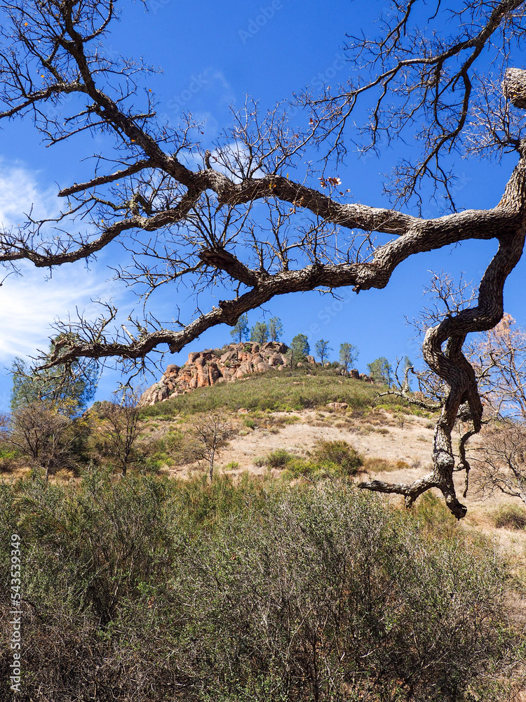Pinnacles National Park scenic view Pinnacles National Park scenic view
