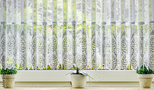Fensterbank mit Gardine und Pflanzen