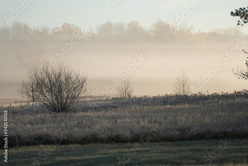 Fog Roling in over a frosty feild 