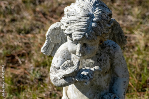 statue of angel looking at bird 