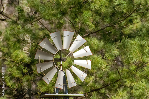 Windmill infant of tree 