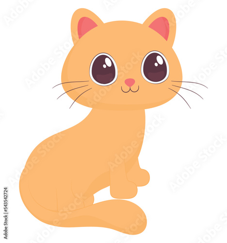 cute blond cat