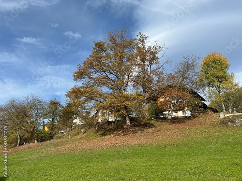 Traditional Swiss architecture and wooden alpine houses in the autumn environment of mountain pastures and mixed forests in the Swiss Alps, Ilanz - Canton of Grisons, Switzerland (Schweiz) photo