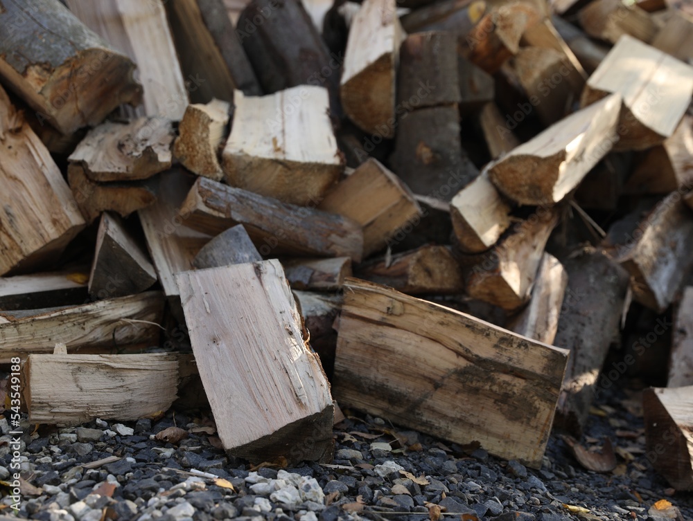 Pile of dry firewood on ground outdoors Pile of dry firewood on ground outdoors