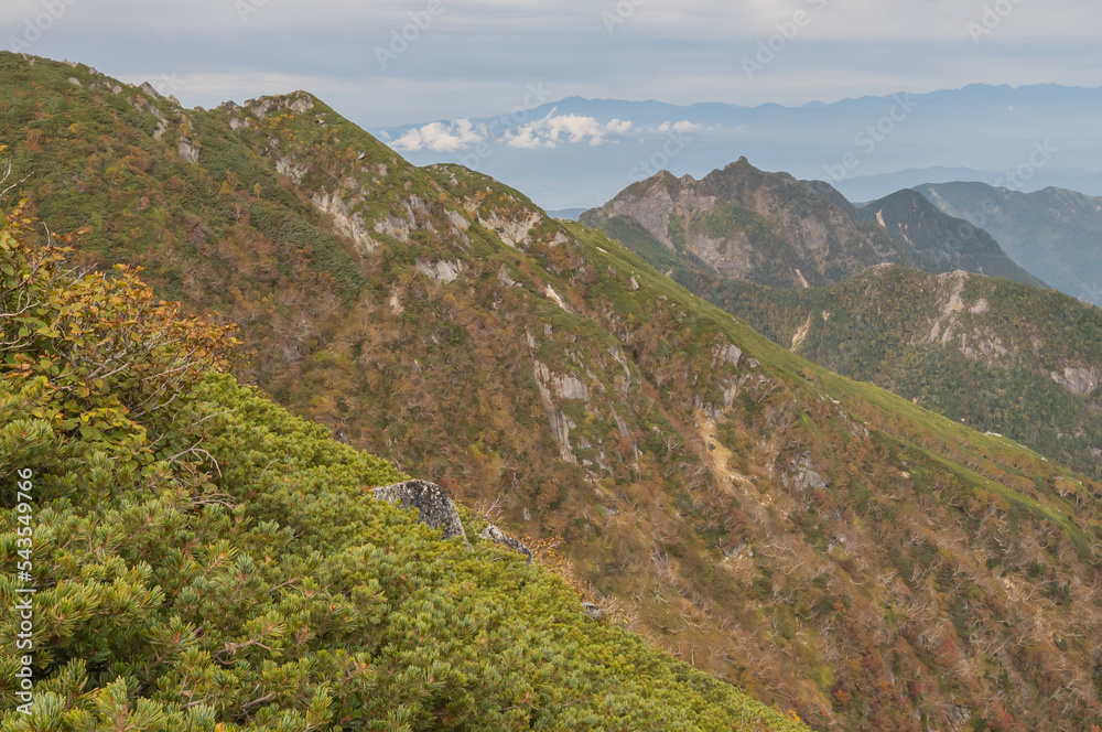 Fototapeta premium landscape in the morning