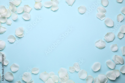 Beautiful white rose flower petals on light blue background  flat lay. Space for text