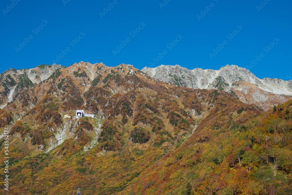 秋の山の風景