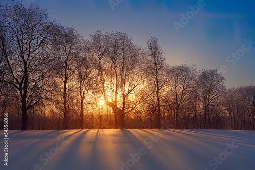 Beautiful rays through the frosty morning oak trees,winter sunrise view at Krimulda,Latvia © AkuAku