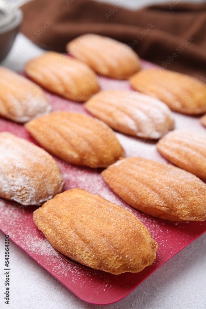 Delicious madeleine cookies in baking mold on white table, closeup Delicious madeleine cookies in baking mold on white table, closeup
