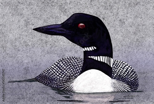 Digital pastel painting of a Loon photo