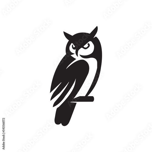elegant wise owl bird perch logo, icon, symbol design illustration photo