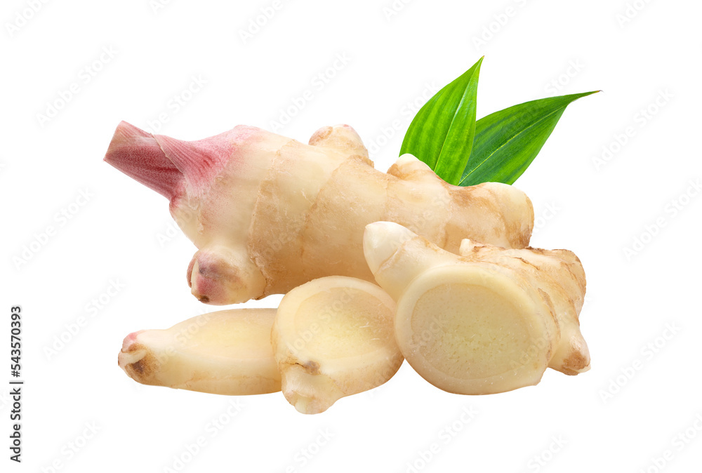 Fototapeta premium fresh ginger isolated on transparent png