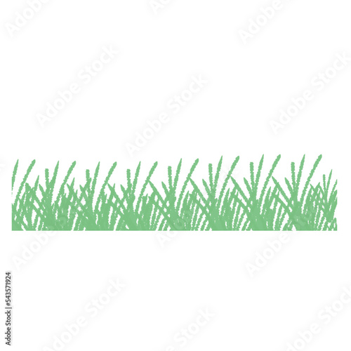 Illustration png of green grass. Perfect for plants like meadow illustration, etc.
