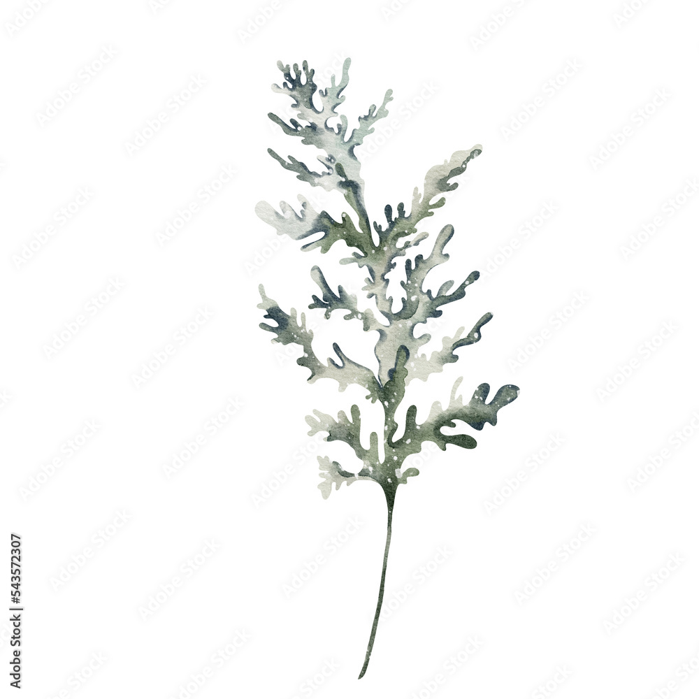 Watercolor winter leaves element illustration