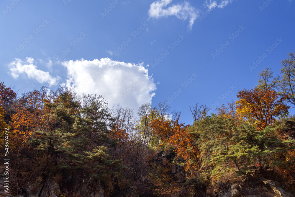 The beautiful autumn color landscape,stream,mountain,valley,
The beautiful autumn color landscape,stream,mountain,valley,