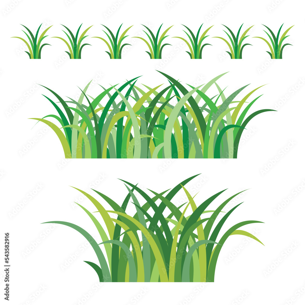 Naklejka premium set of colorful green grass object on white background, vector illustration