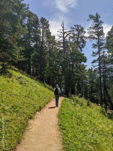 Arkhyz, Karachay-Cherkessia, Russia - August 21, 2022: People walk along the trail of romantics along the coniferous forest in the resort area of Arkhyz. Vertical