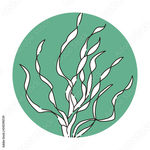 バリスネリアのアイコン（水草）