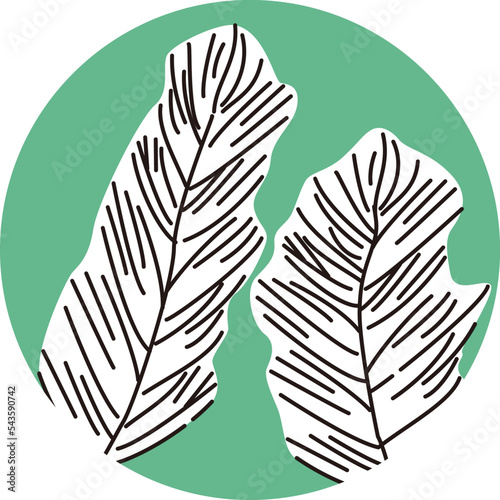 マツモのアイコン（水草）