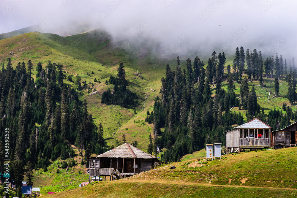 Obraz premium Old houses of Bakhmaro resort in georgian region Guria