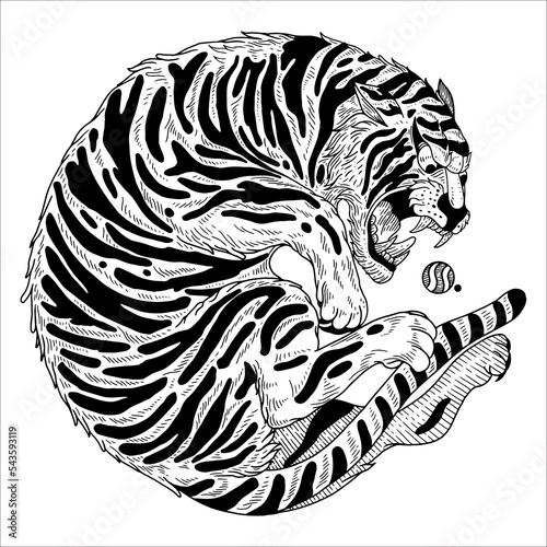 tiger fun