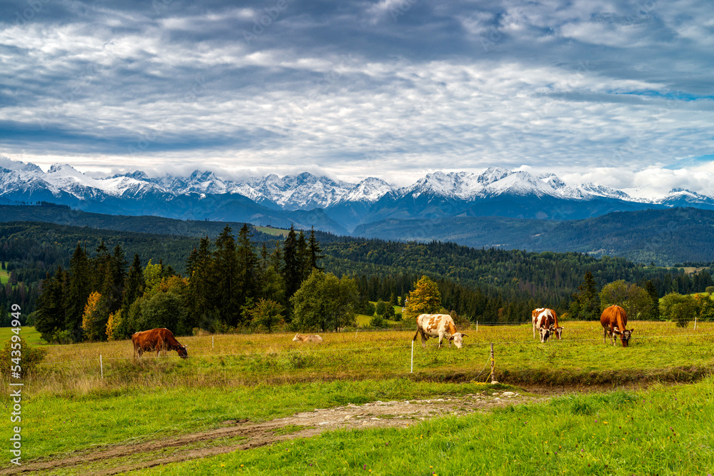 Autumn in the Tatry Autumn in the Tatry