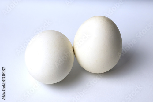 image of two chicken eggs