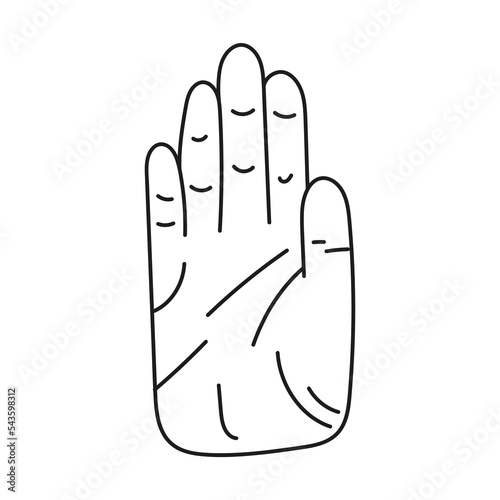 Hand drawn palmistry illustration.