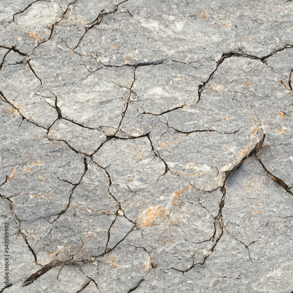 Fototapeta premium earth