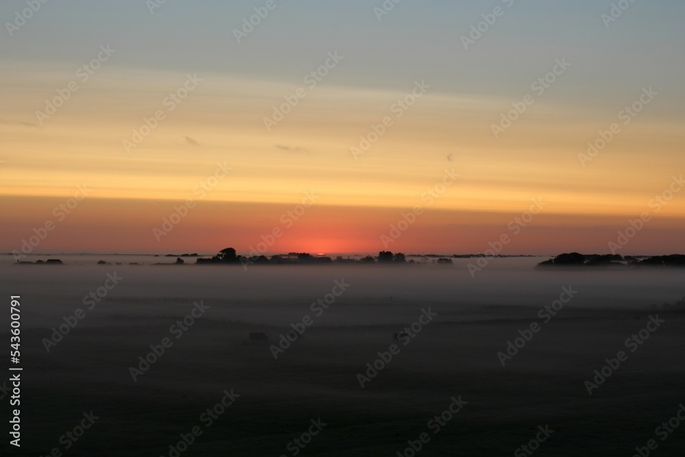 Sunrise over a field in the morning with fog and trees and cattle in the front