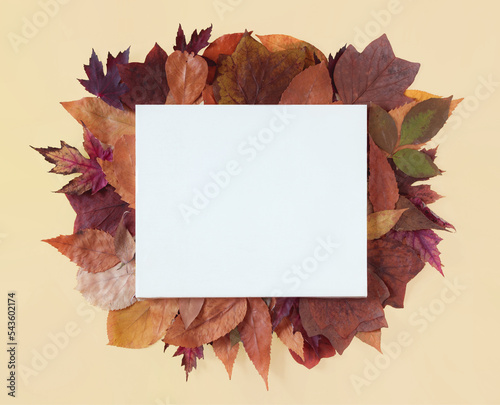 Autunmn leaves and white canvas on yellow background with copy space