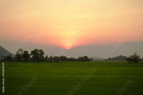 sunset over the field at Suphanburi Province, Thailand