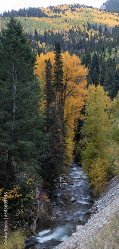 Vertorama of fall Aspens and a river in the Wasatch mountains. photo