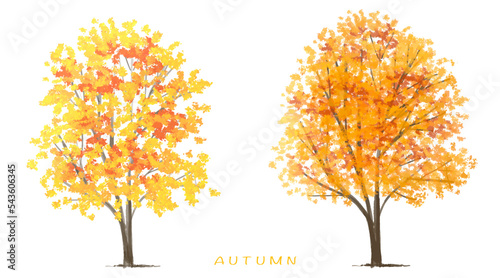 Vector watercolor blooming flower tree or forest side view isolated on white background for landscape and architecture drawing,elements for environment and garden,botanical for section in autumn   