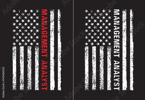 Management Analyst Design