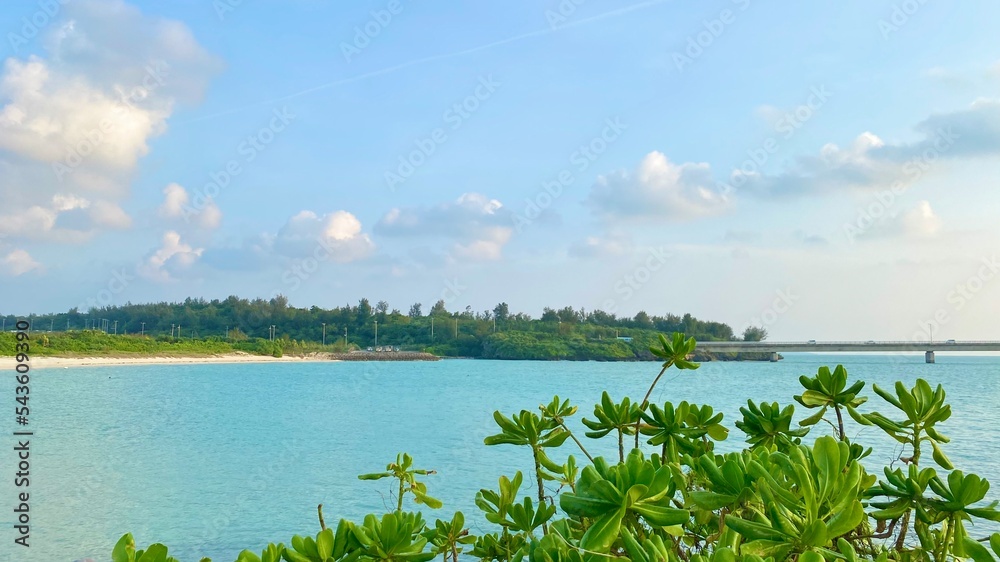 Fototapeta premium landscape with lake