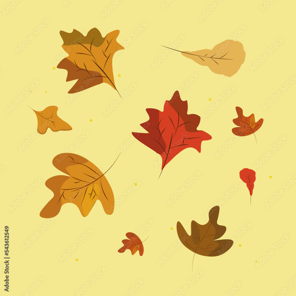 Obraz premium autumn leaves background