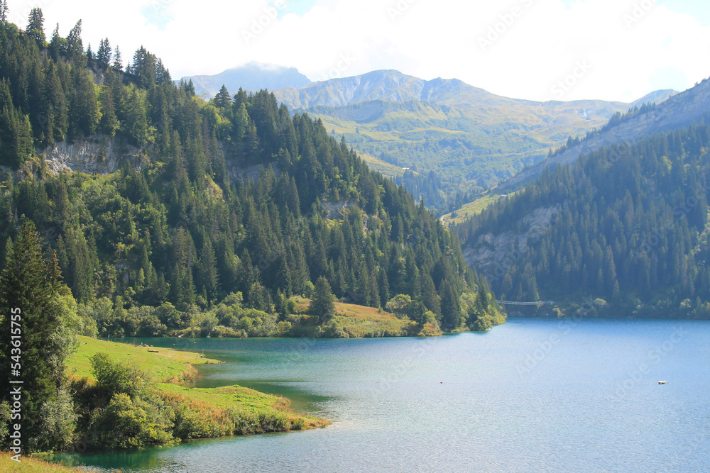 Obraz premium The French Alps landscape