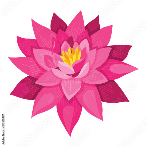 Lotus. Pink flower and leaves for advertising or invitation. Blossom, bud opening, an aquatic plant. 3D design. Isolated objects for design