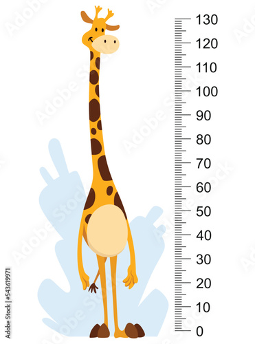Height measure with growth ruler chart with cute cartoon giraffe animal. Funny kids meter, wall scale from 0 to 130 centimeter to measure growth. Children room wall sticker as interior decor