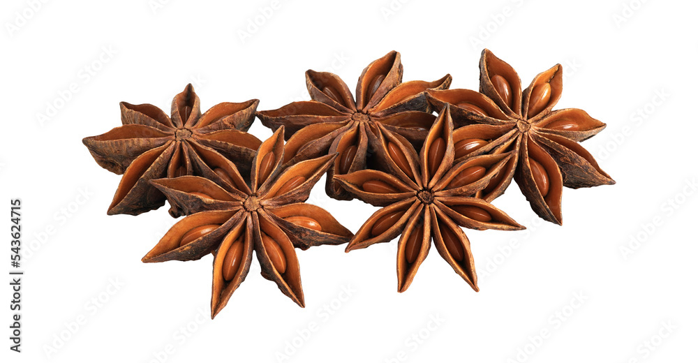 A group of star anises isolated on transparent PNG. A group of star anises isolated on transparent PNG.